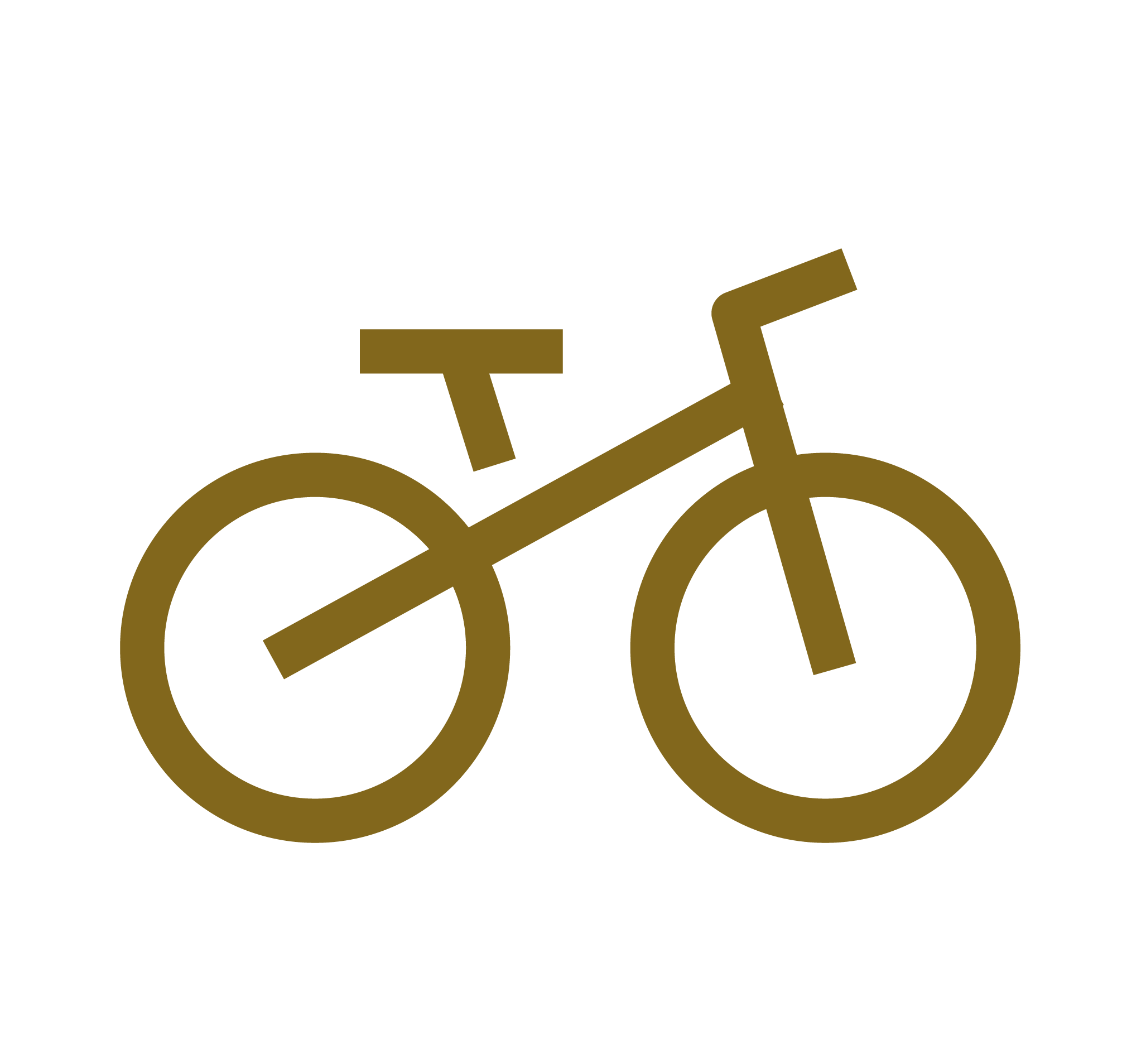 Bike Icon