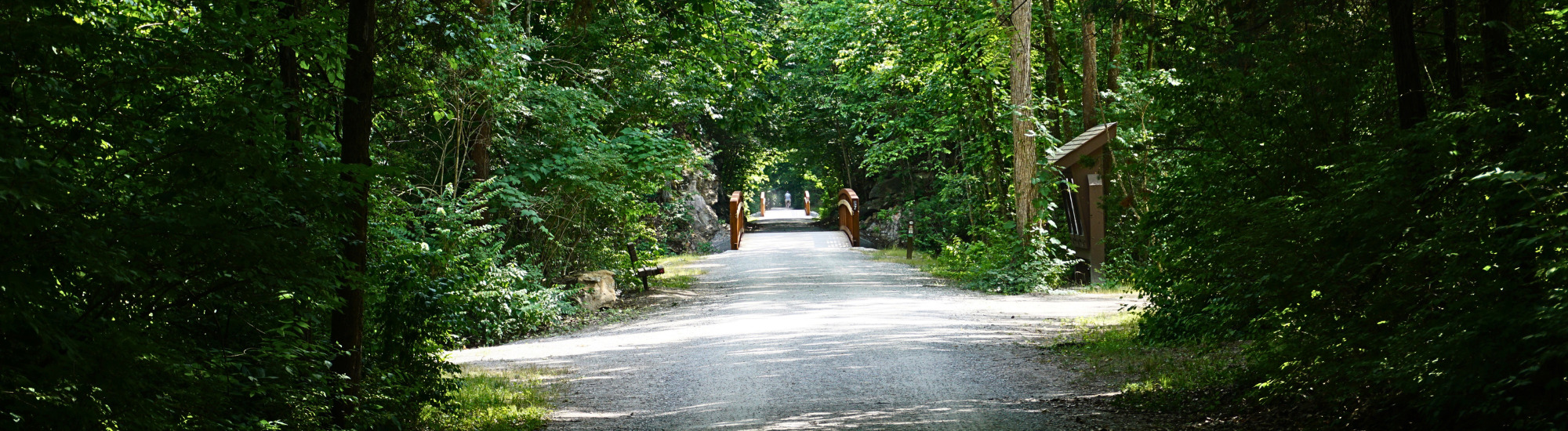 Peaceful trail section in the forest on the Katy Trail