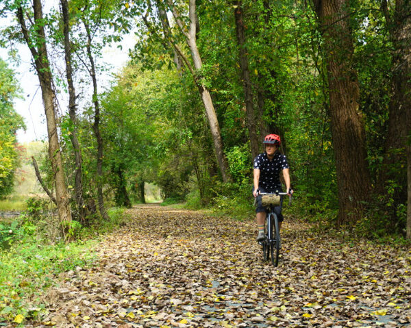 Rider along a forested Erie Canalway trail section