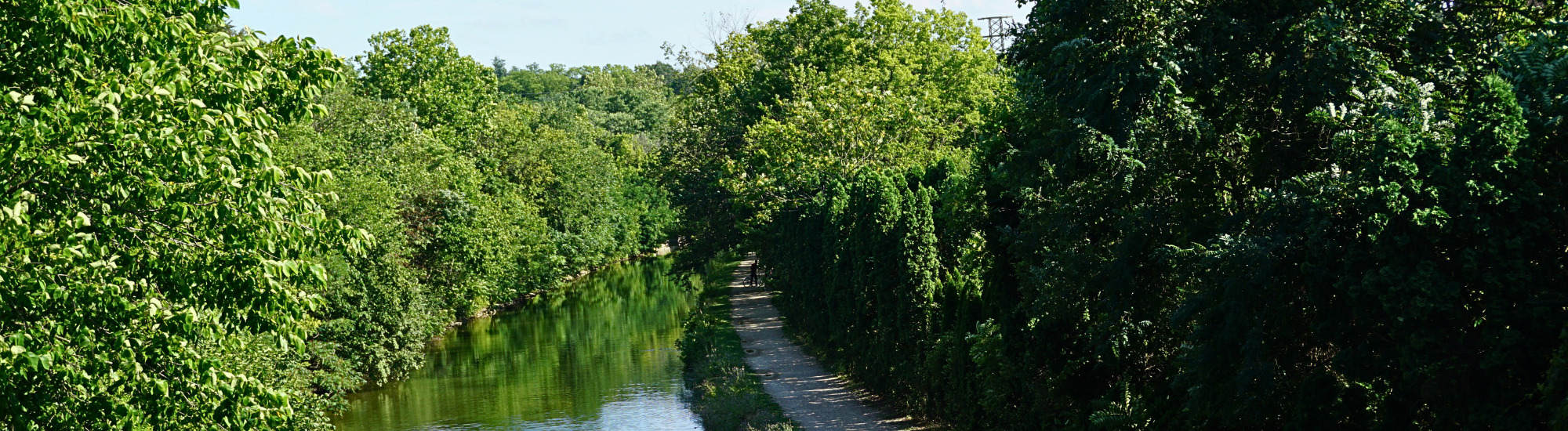 Trail running along the river at Williamsport