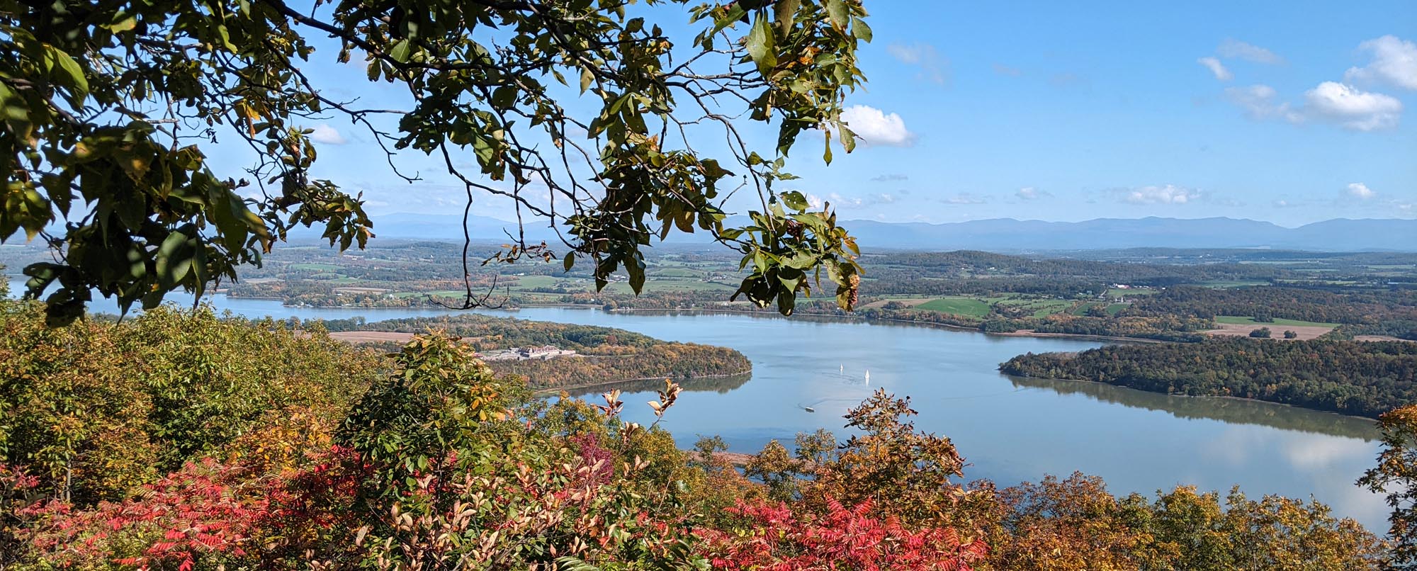 Mt Defiance overlook