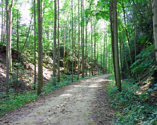 Beautiful wooded trail on the GAP