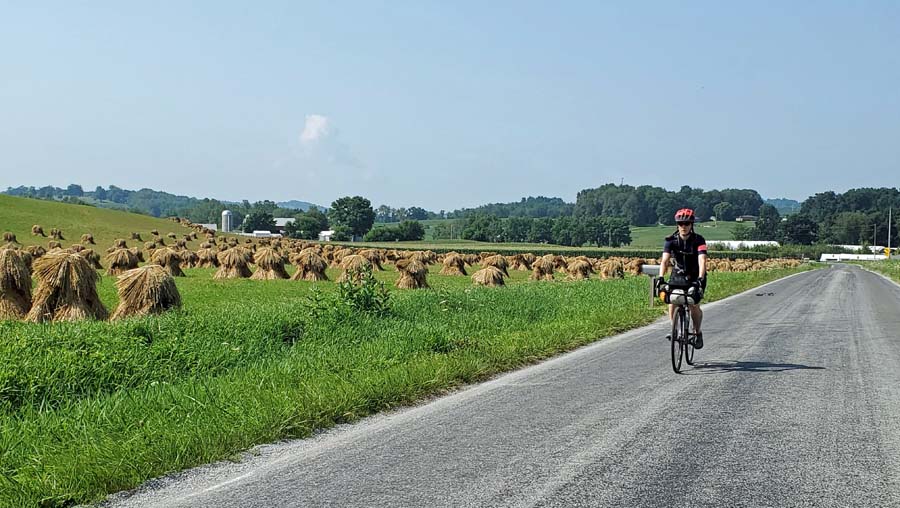 rider next to amish fields